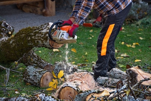 wahroonga tree service