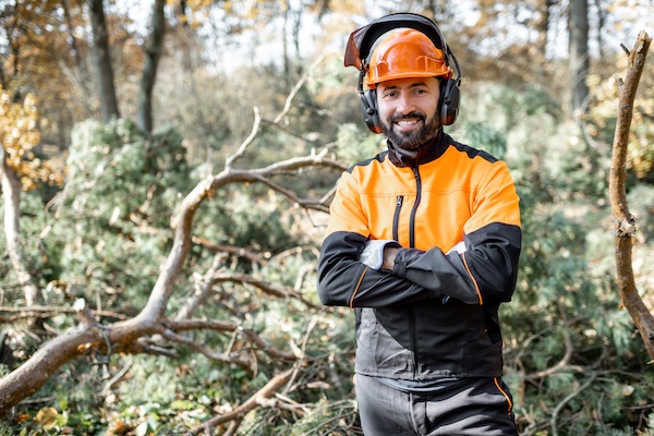 tree loppers Randwick