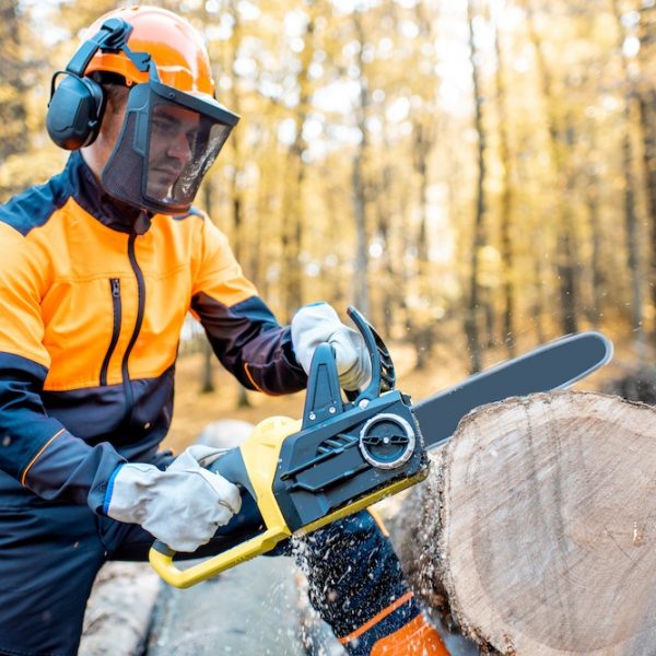 professional tree services sydney