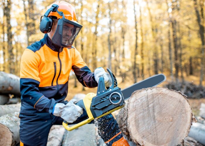 professional tree services sydney